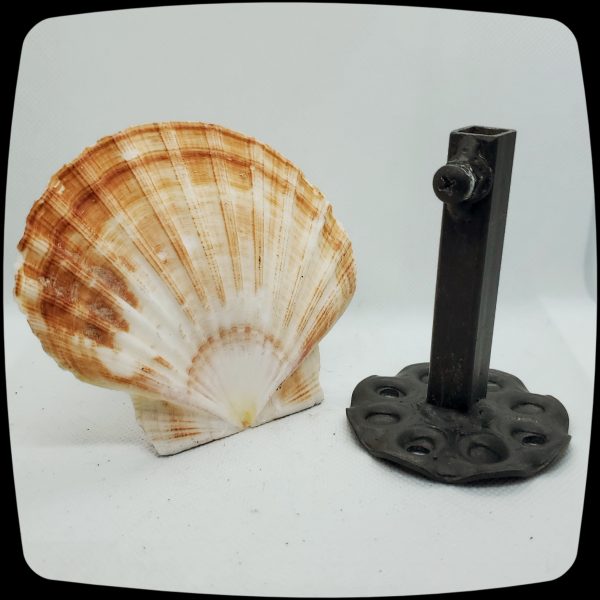 Item #055M - Authentic Irish Flat Shell Drapery Medallion - 4" - 5" Diameter. - Image 2