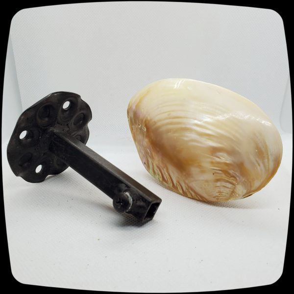 Item # 069M - Authentic Polished Trochus Seashell Drapery Medallion - 2" - 4" Diameter