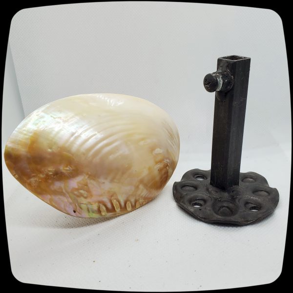 Item # 069M - Authentic Polished Trochus Seashell Drapery Medallion - 2" - 4" Diameter - Image 3