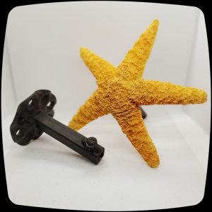 Item #083M - Sugar Starfish Drapery Medallion - 4" - 5" Diameter